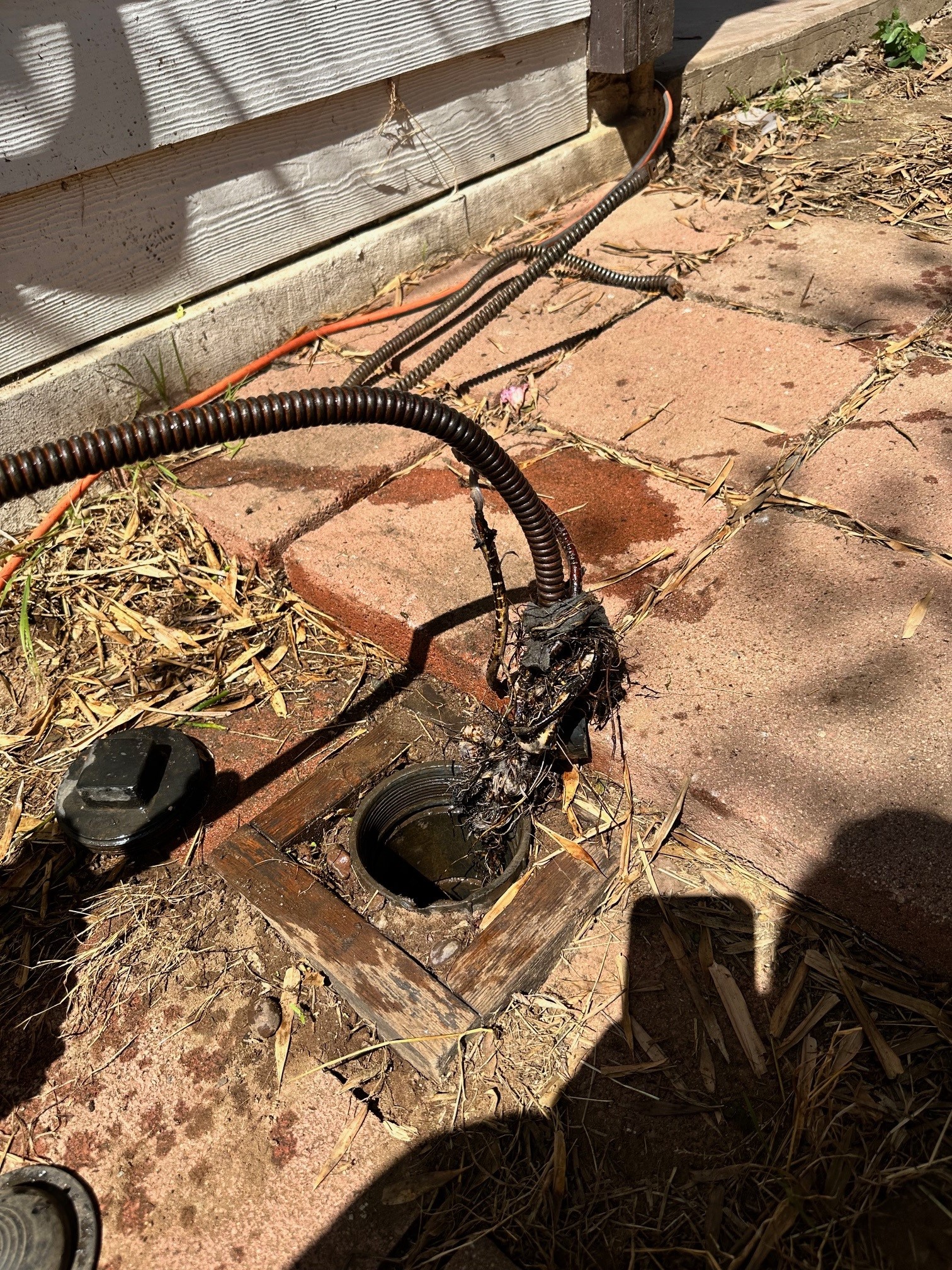 removing roots from a clogged drain